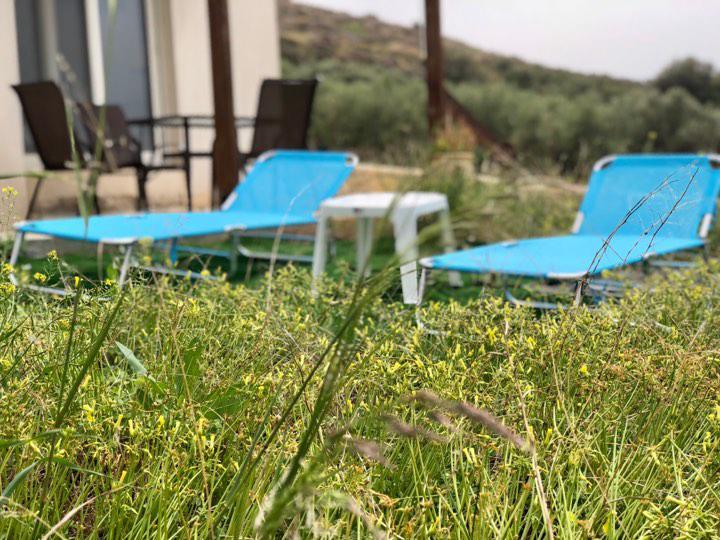 Villa Oniro Kreta Kalamaki  Exteriér fotografie